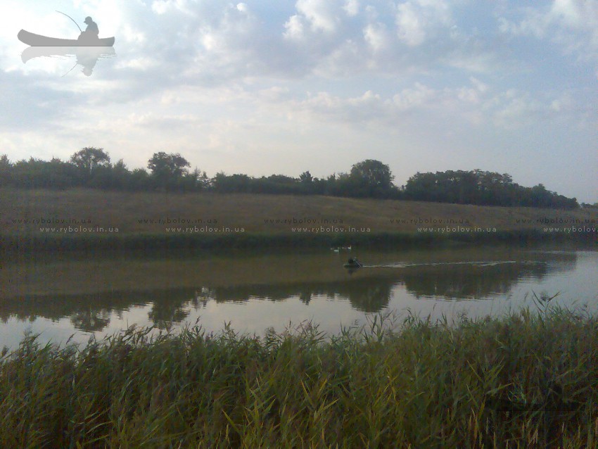 2010г.