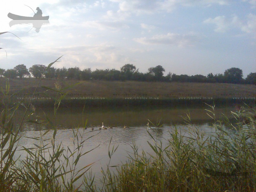 2010г.