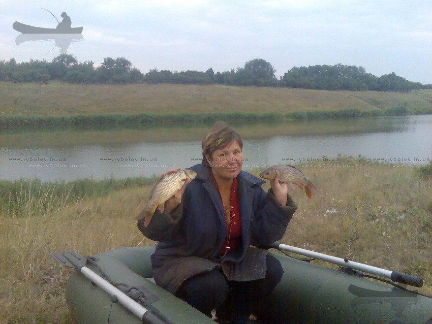 2010г.