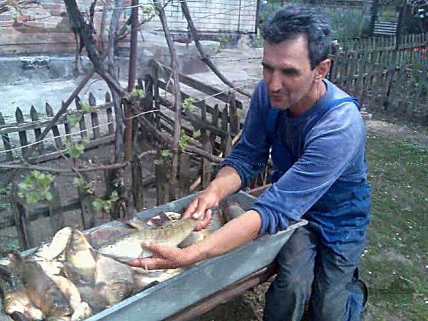 2010г.