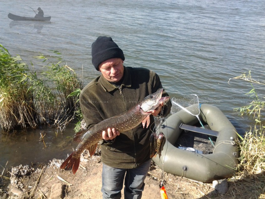 она родненька-3.5 кг.