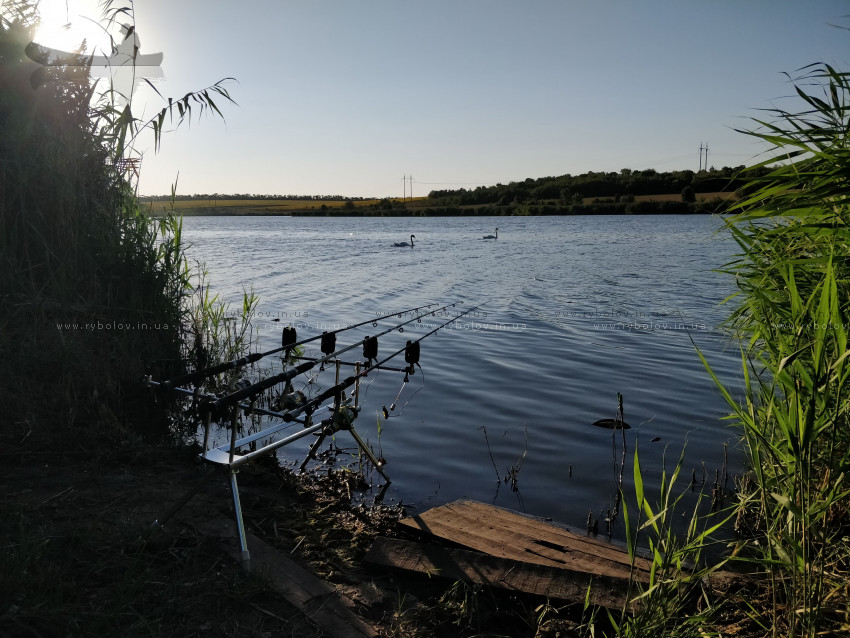 И снова красота