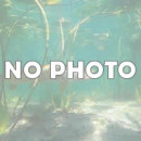 приготовления ... первая партия ..., фотоальбом: бойловарение