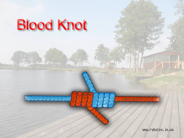 Кровавый узел / Blood Knot Кровавый узел / Blood Knot