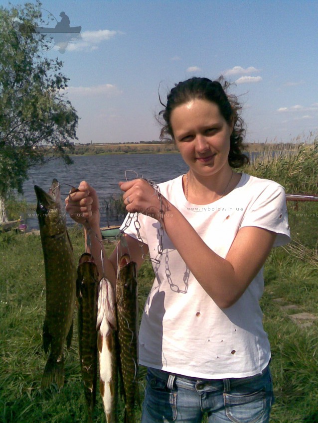 щука