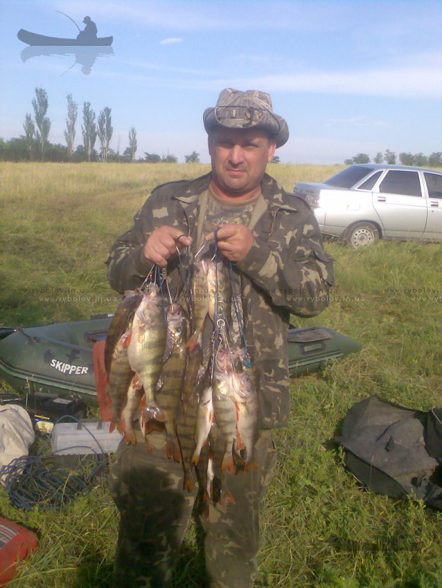 Весна 2011г.