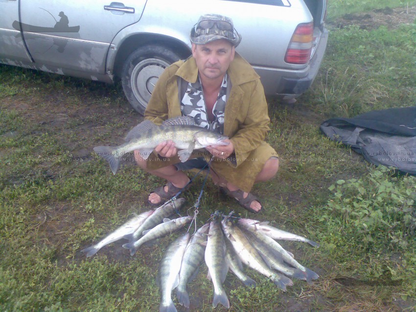 Весна 2011г.