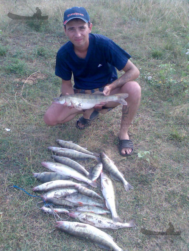Лето 2011г.