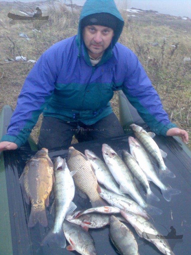 Осень 2011г.