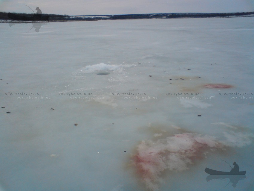 А так выглядит водоем теперь.