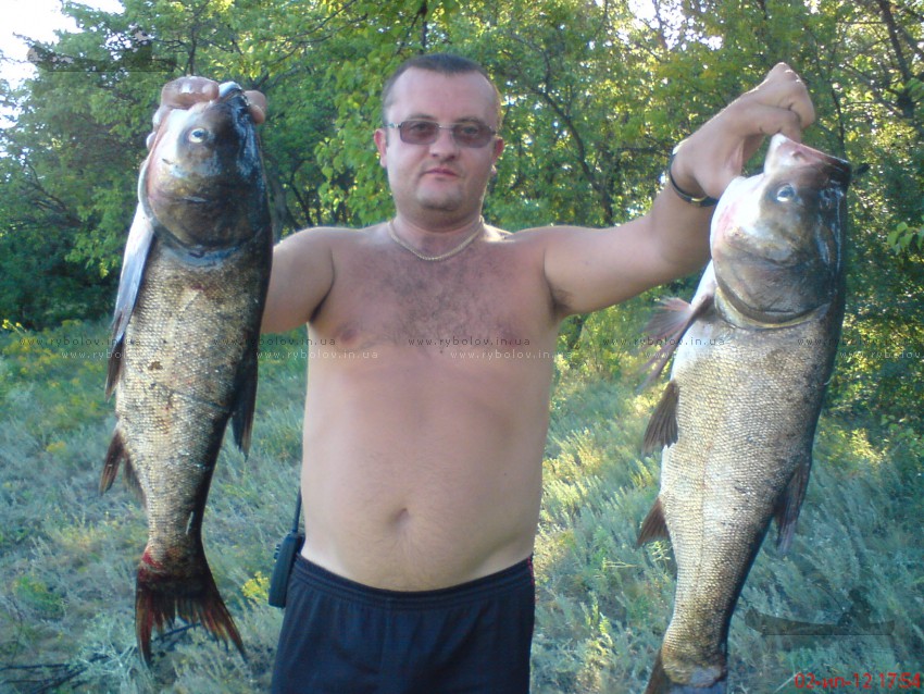Толстолобики 02.07.2012