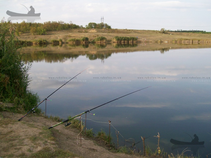ставок