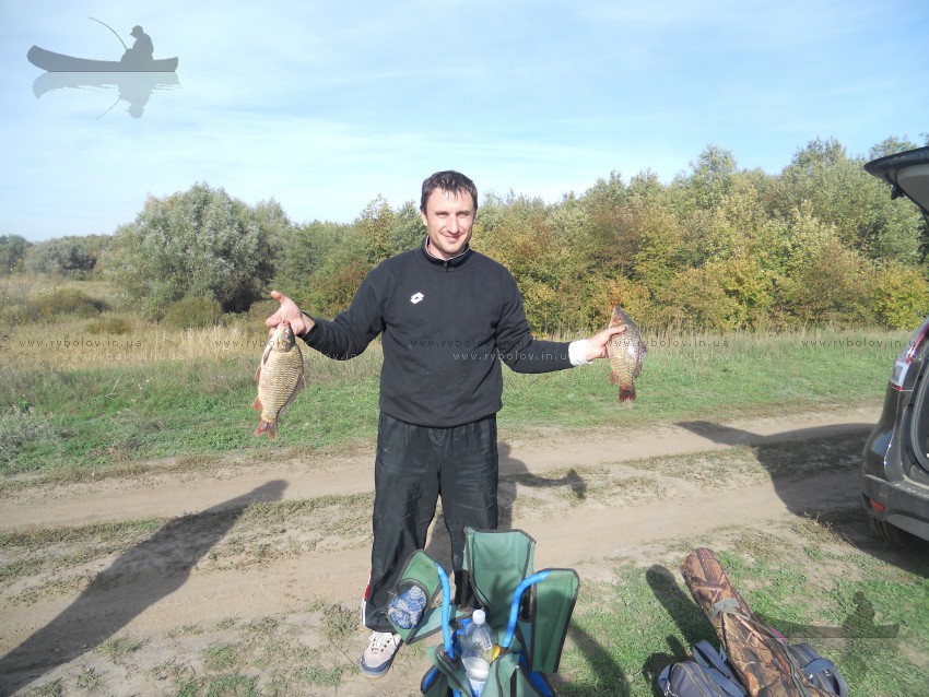 Карп редкий