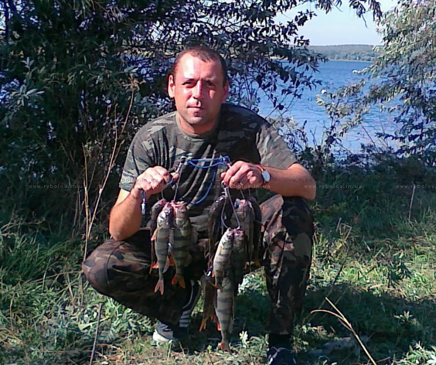Окунь