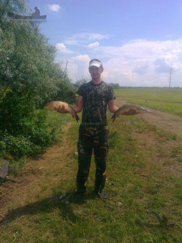 Амуры
