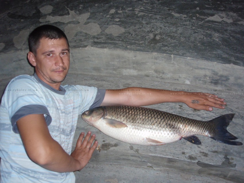 Амур 5,4