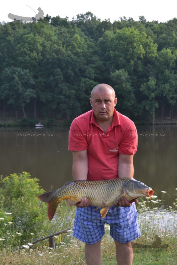Карп 9,5 кг