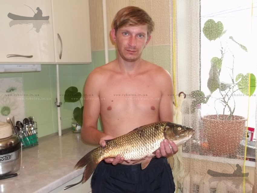 варваровка