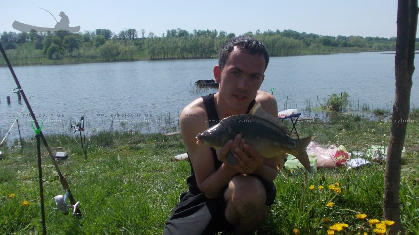 Веселая роща
