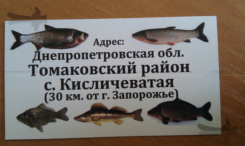 Адрес
