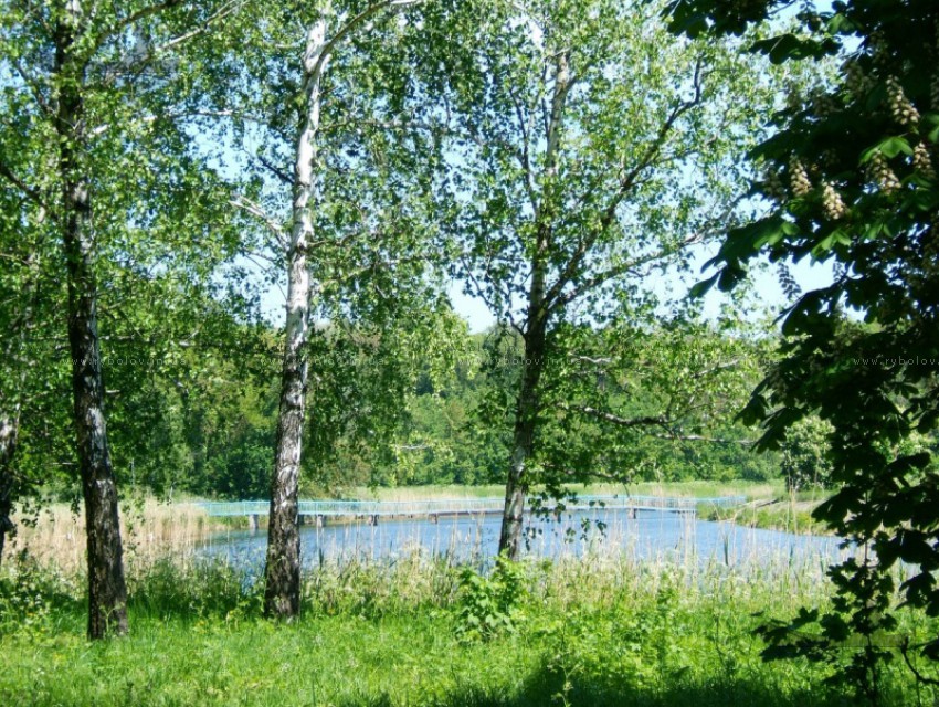 2013 год