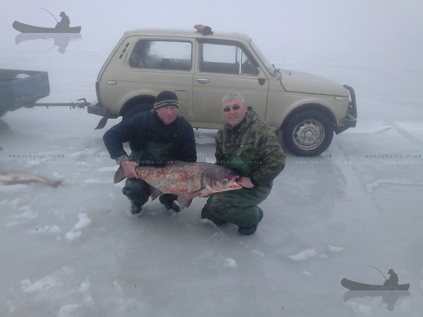 19,4кг