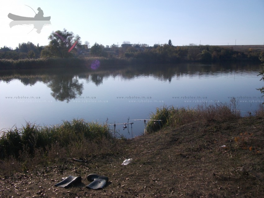 верблюжка