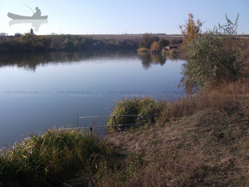 верблюжка