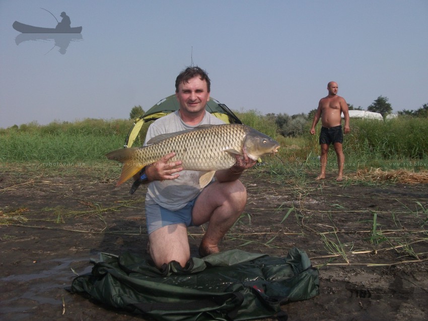 8.8кг