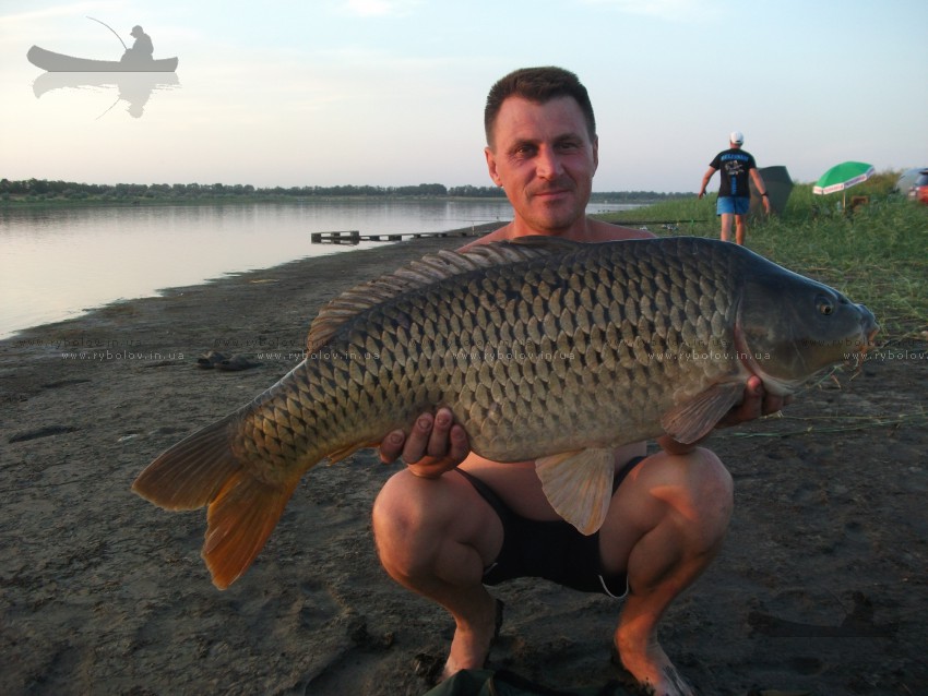 12.6кг