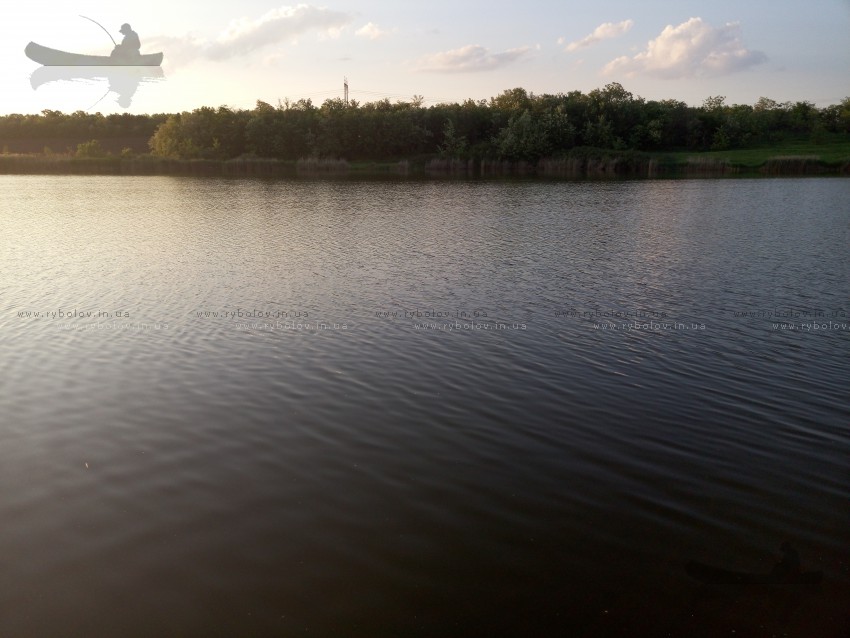 Ставок
