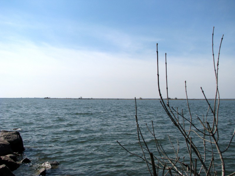 вид на косу уходящую в сторону середины водоёма