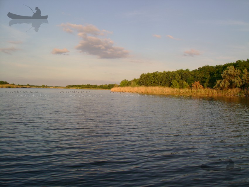 осень 2010