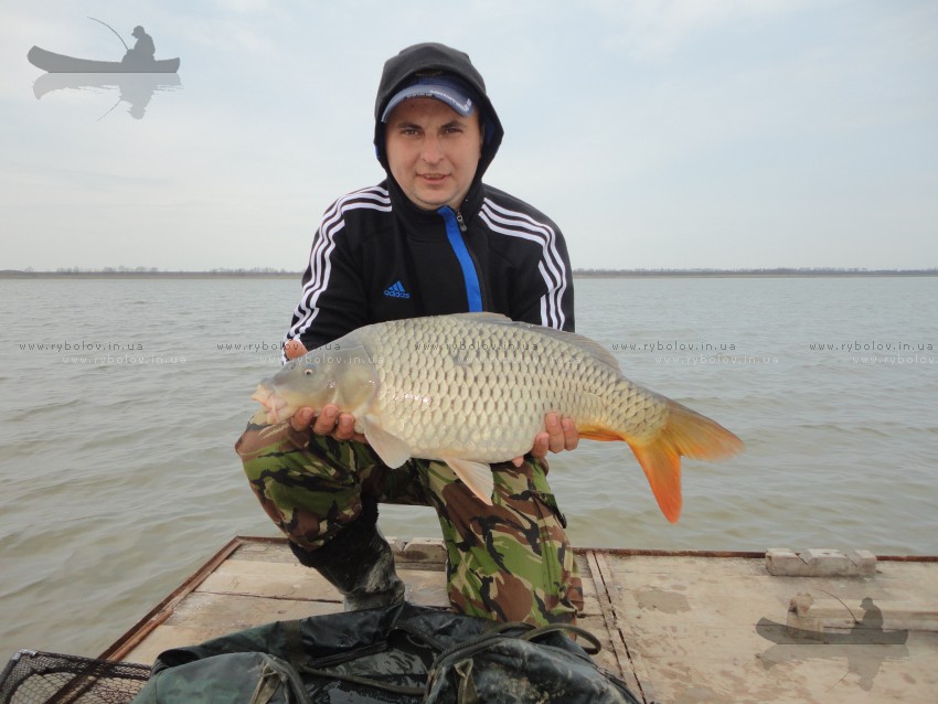 карпуша 6 600