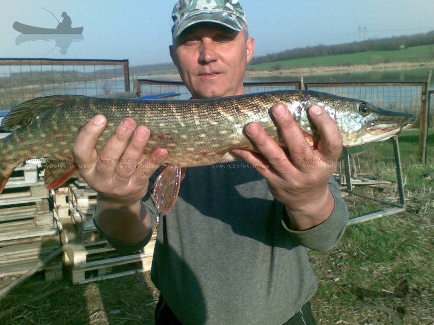 22.04.2011   2кг. воблер