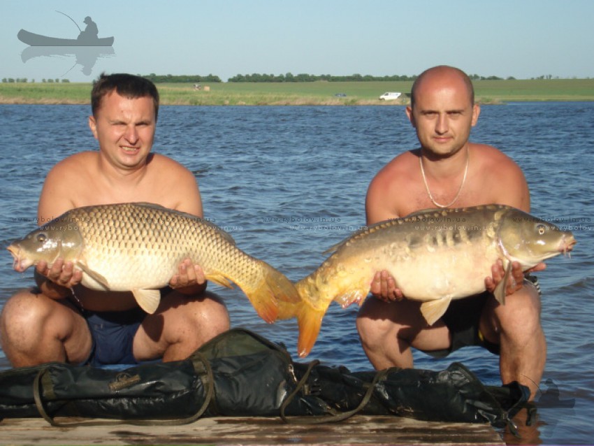 10, 12 кг дуплет