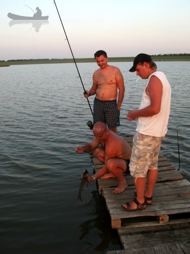 и всем было интересно
