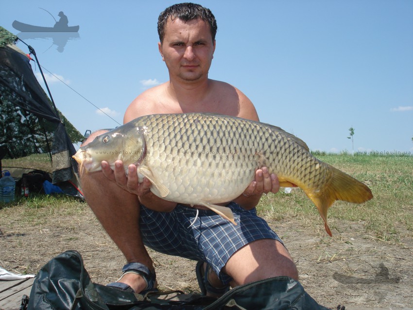кабася