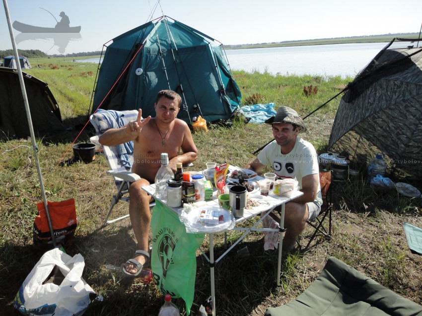 мад катран 2011