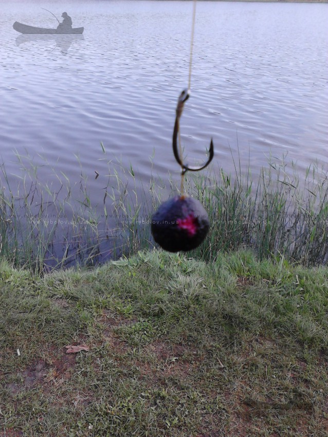 popup richworth bloodworm, поднятый на 40 см. - на 2мм внутрь стал черным и с отвратительным запахом ила