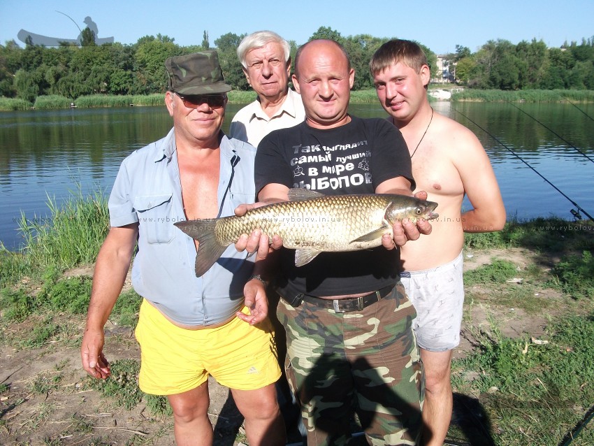А я его морил