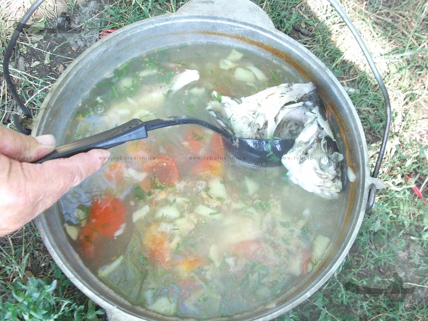 готова