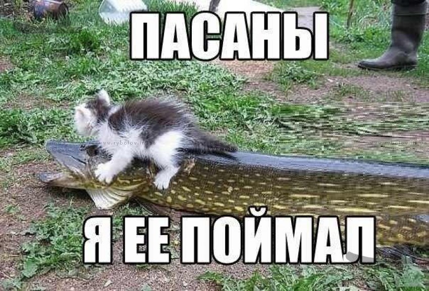 Попалась картинка на просторах интернета