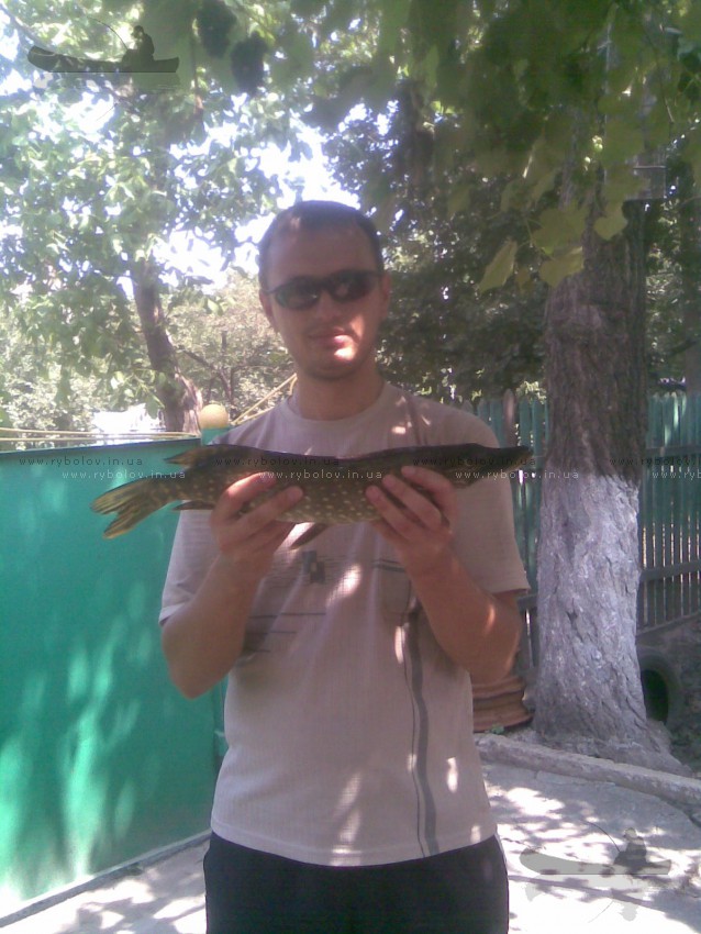 Щучка 