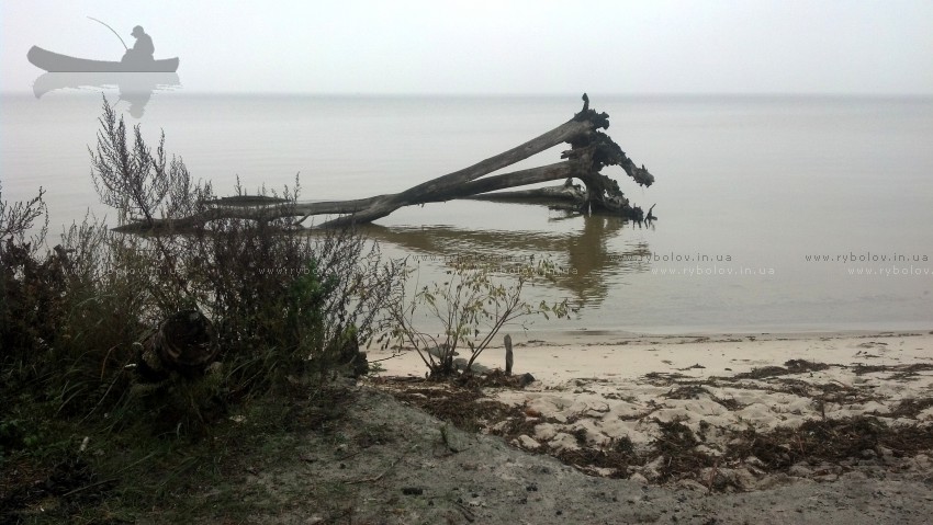 Корчи на Киевском море