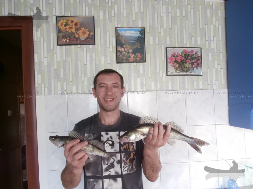 Судачок