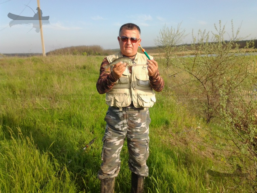 снова в гуровке у алексея
