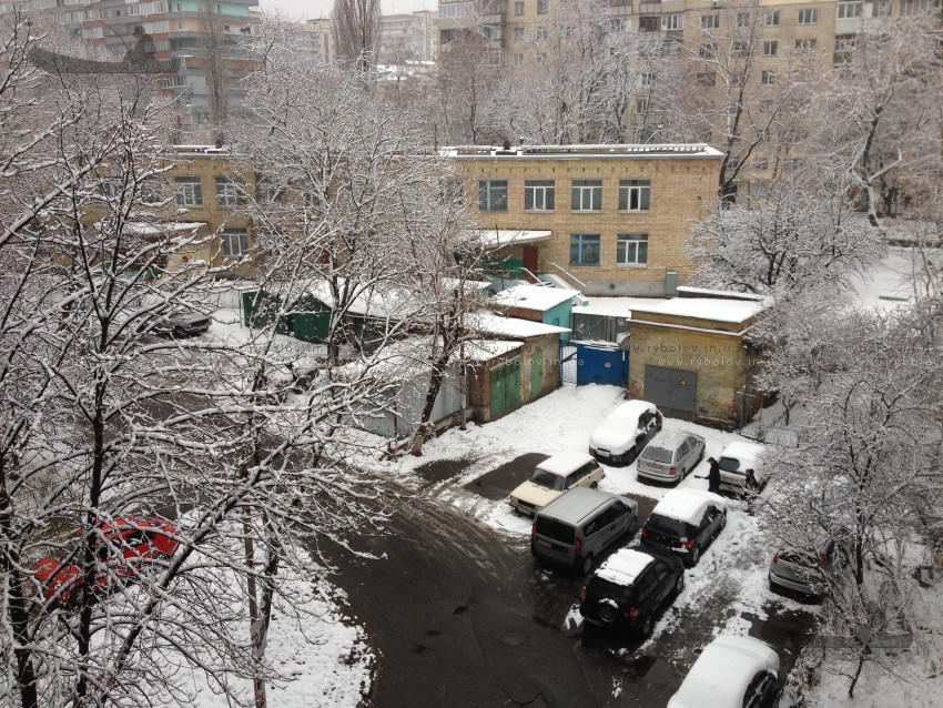 В Киеве первый заметный снег 