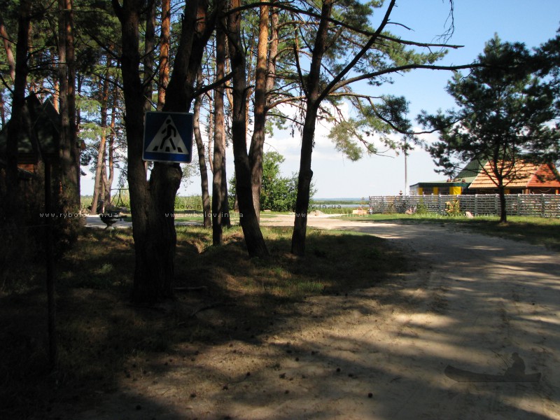 Мисливський хутор