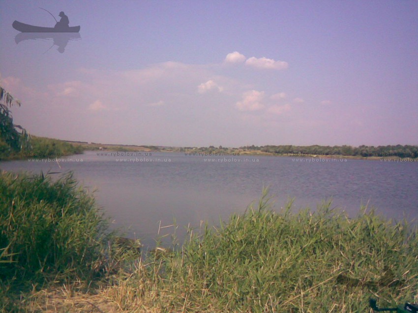 Криничивате